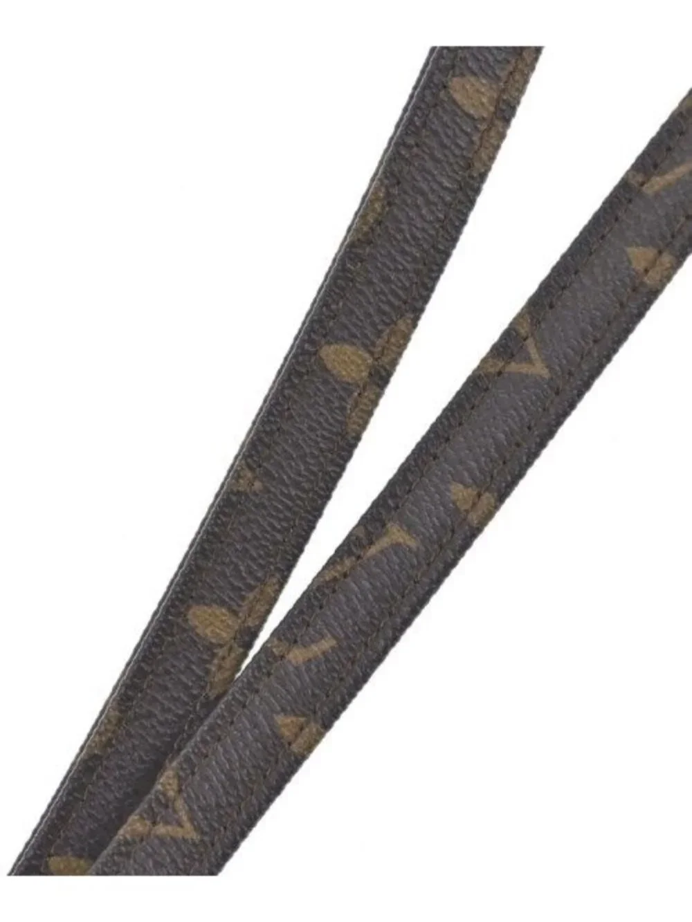 Louis Vuitton Pouch Brown